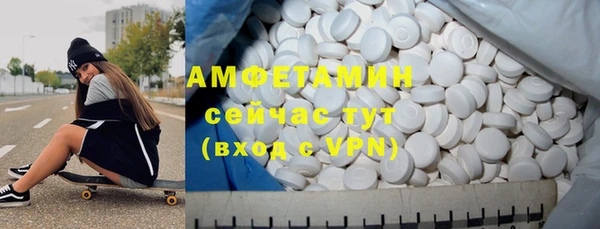 молекула духа Тайга