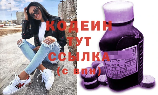 молекула духа Тайга