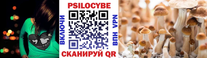 Псилоцибиновые грибы мухоморы  Ногинск 