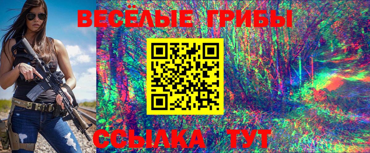 наркота  Вход с VPN  Псилоцибиновые грибы прущие грибы  Ногинск  Галлюциногенные грибы Psilocybe 
